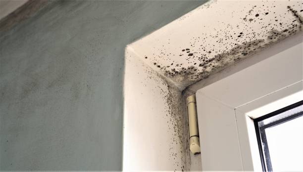 Best Indoor Air Quality Assessment  in Homeland, GA