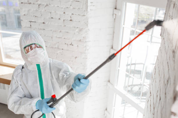 Best Commercial Mold Inspection  in Homeland, GA