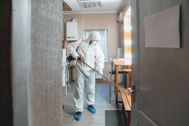 Homeland, GA Mold Removal Company