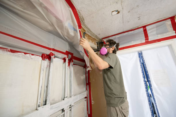 Best Mold Prevention Services  in Homeland, GA