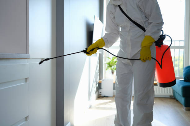 Best Crawl Space Mold Remediation  in Homeland, GA