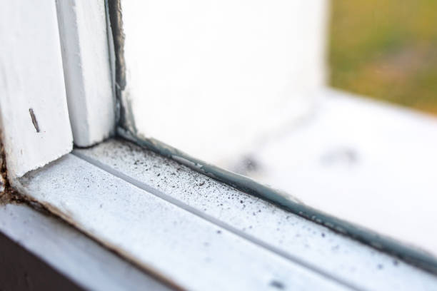 Best Mold Removal for HVAC Installations  in Homeland, GA